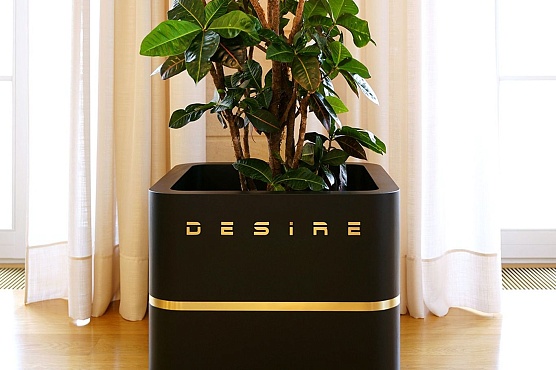 Desire Vase / Вазон фото3